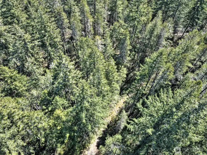 Aerial overview.  Property is on both sides of the road