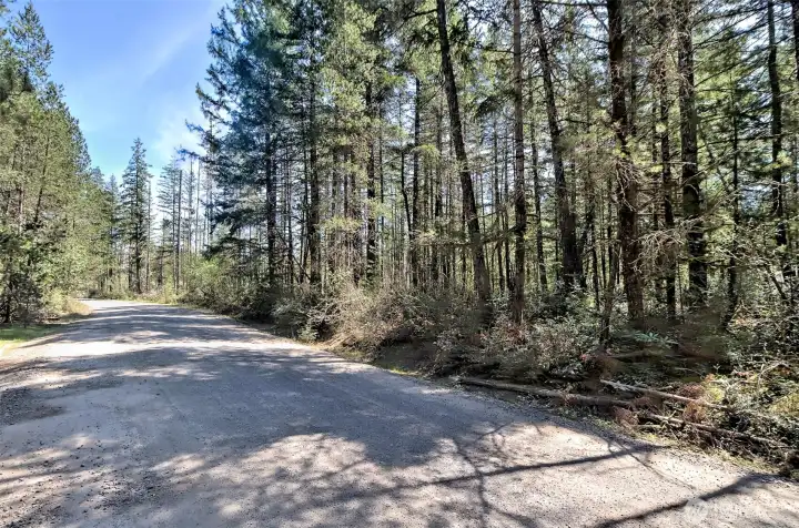 Another street view
