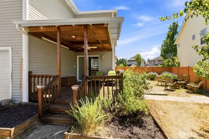 Spacious & Fully Fenced Backyard with Mature Grape Vines, Fruit Trees, Raised Garden Beds, and Room for More!