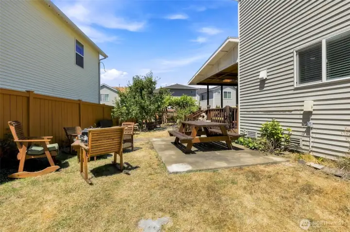 Spacious & Fully Fenced Backyard with Mature Grape Vines, Fruit Trees, Raised Garden Beds, and Room for More!