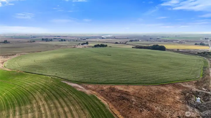 Expansive Agricultural Views Expansive Agricultural Views