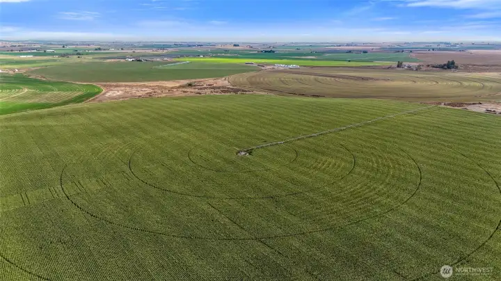 Ideal for Row Crops Ideal for Row Crops
