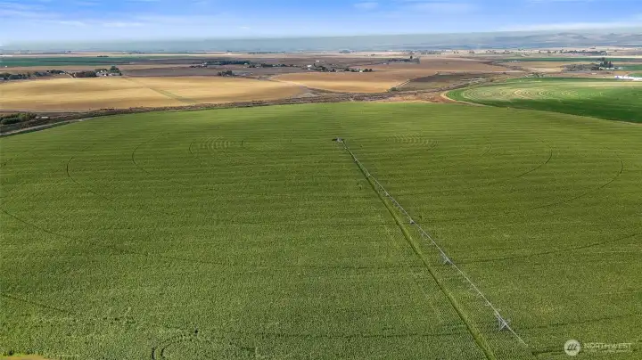 Well-Maintained Irrigated Fields Well-Maintained Irrigated Fields