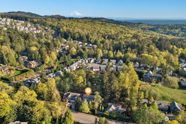 Close to Bellevue, Issaquah, & major trails/Cougar Mountain activities!