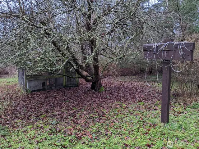 Fruit tree and chicken shelter/dog house