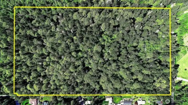 Aerial View approximate property lines