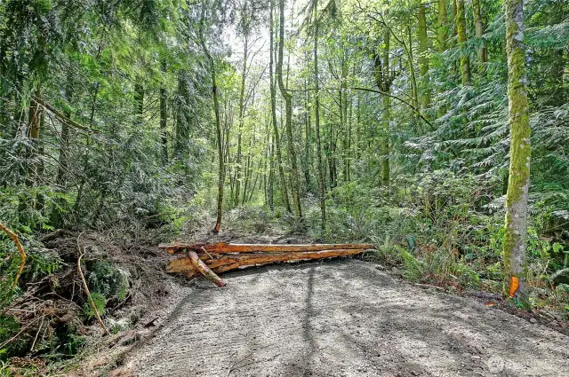 Access off Mountain View Road