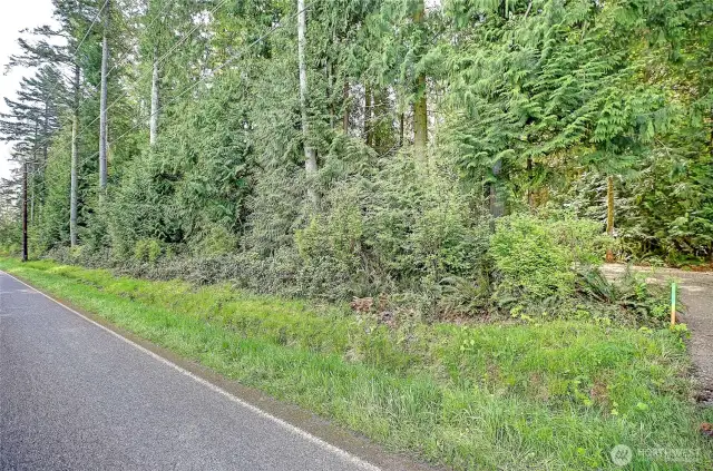 Mountain View Road