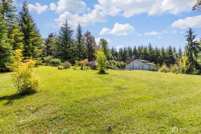 Upper section of the 5 acres with fruit trees, garden space and 1440 sq foot shop.