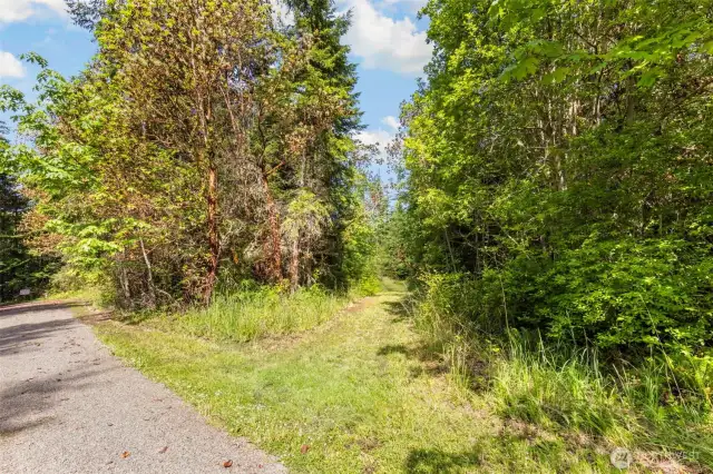 Access road to the lower section of the property.