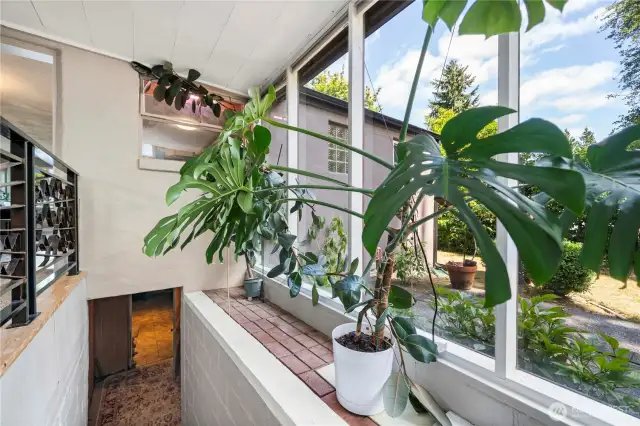 Rubber tree (on left) stays with home