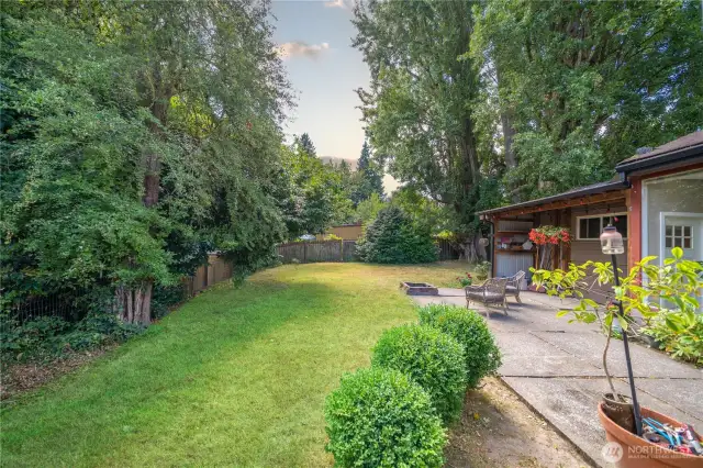 Private backyard