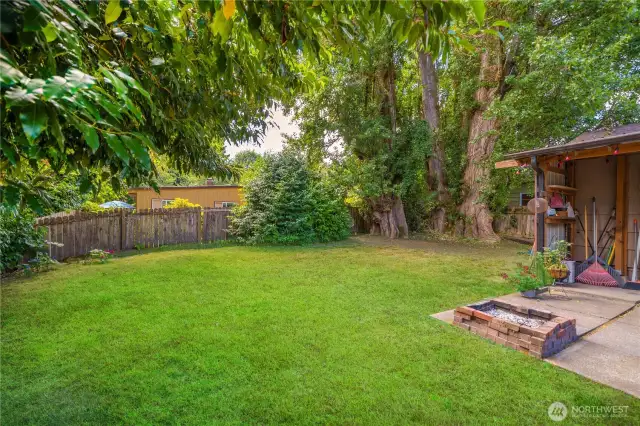 Room for a garden?