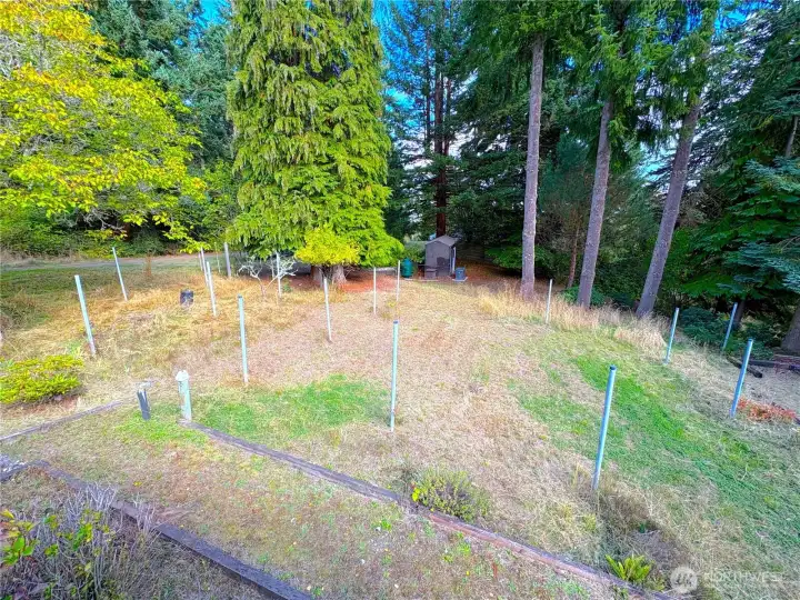 Large Garden Area