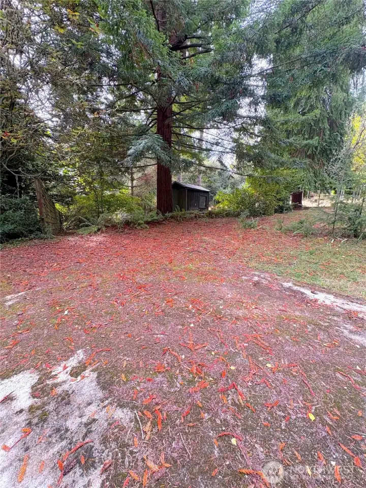 Concrete slab to park your RV or Boat