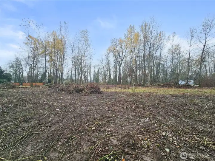 Looking west from back edge.