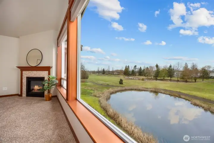 Looking west, out onto the woodland meadow from the living room.