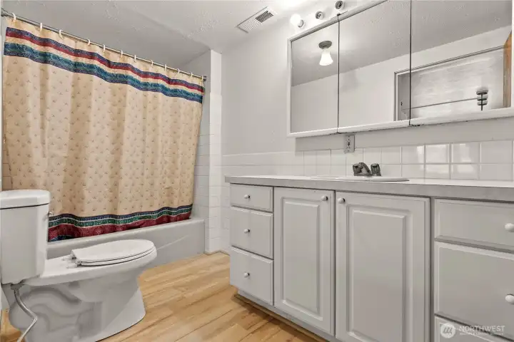 Lower level full bathroom