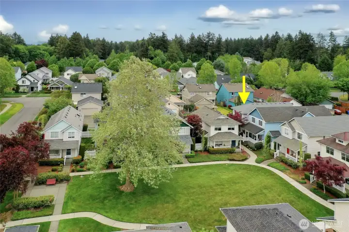 Cottage style home with central common area maintained by the HOA.