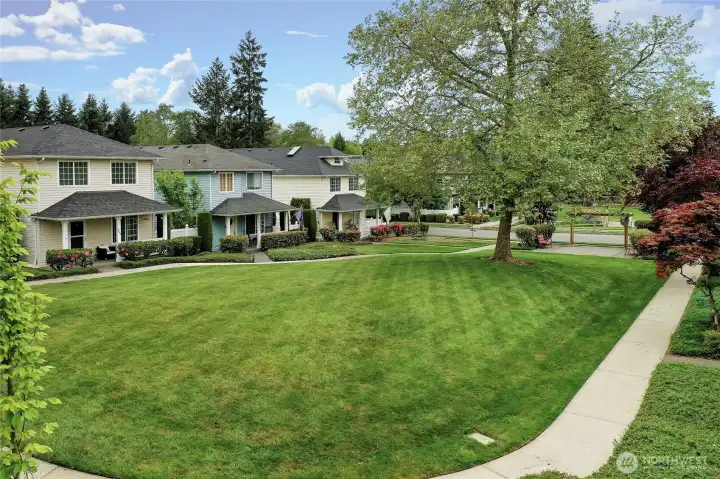Common areas - enjoy a picnic on the grass. Maintained by  HOA.