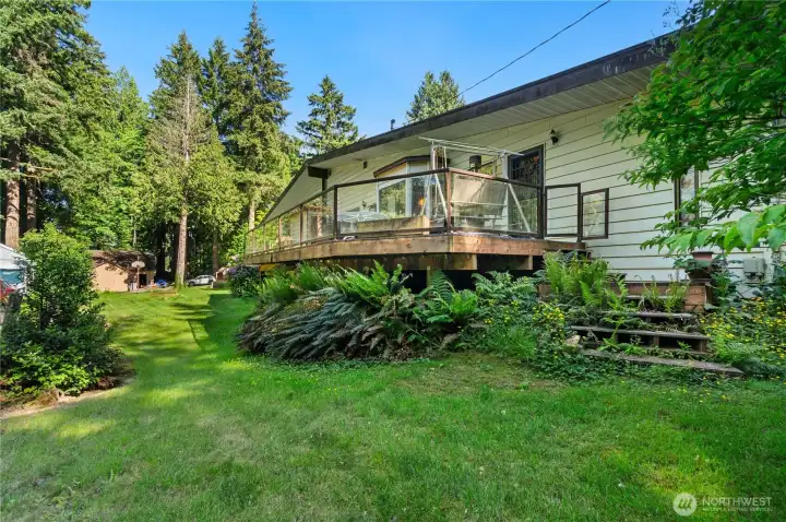 Back Deck and yard