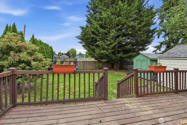 Back yard & deck Back yard & deck