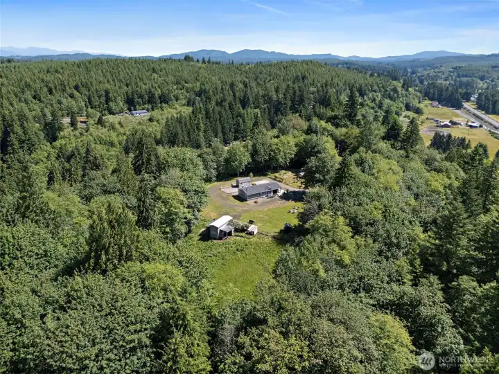 3.93 beautiful acres! 3.93 beautiful acres!