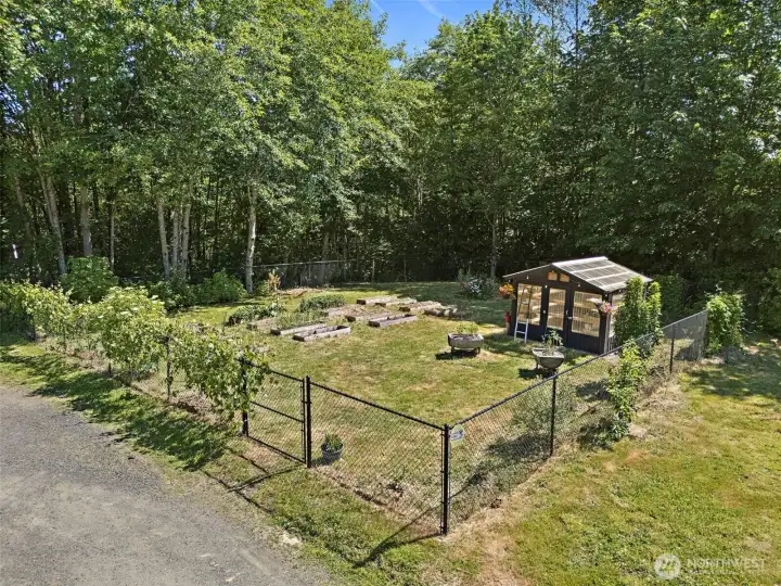Fully Fenced Garden, 16 raised beds, custom greenhouse, fruit trees, berries hops... Fully Fenced Garden, 16 raised beds, custom greenhouse, fruit trees, berries hops...