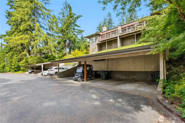 Convenient covered parking includes a dedicated storage closet, providing additional space for outdoor gear and seasonal items. Convenient covered parking includes a dedicated storage closet, providing additional space for outdoor gear and seasonal items.