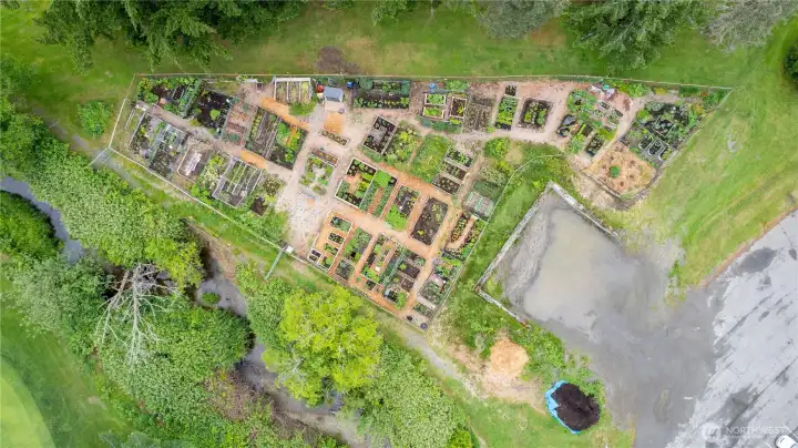 One of Sudden Valley's community gardens. One of Sudden Valley's community gardens.