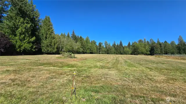 The property runs the entire length of the pasture and into the trees in the back.