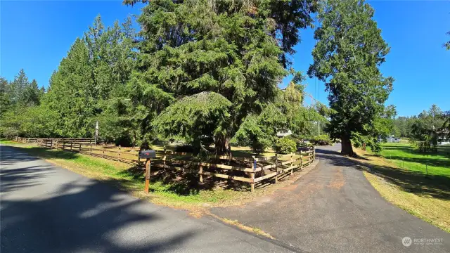 Large circular driveway with mature landscaping in the center island.