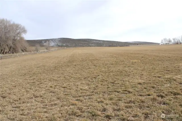 Looking east from Bare Road