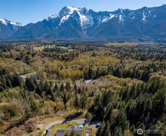 Whitehorse Mountain viewable from upper portion of Property