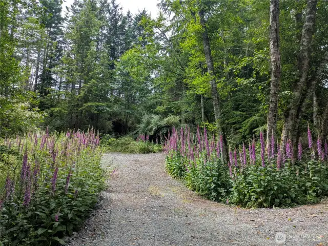 Property driveway and parking area.