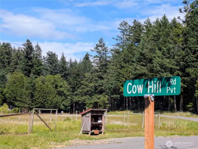 Cow Hill is served by a private road. You'll find at least three farm stands between Cow Hill and Doe Bay Resort!