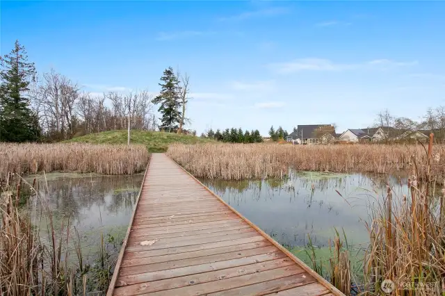 Walkable trails over a maintained wetland.  A bird watcher's delight