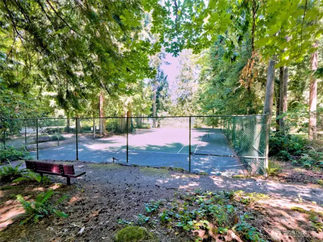 The neighborhood has a community athletic court.