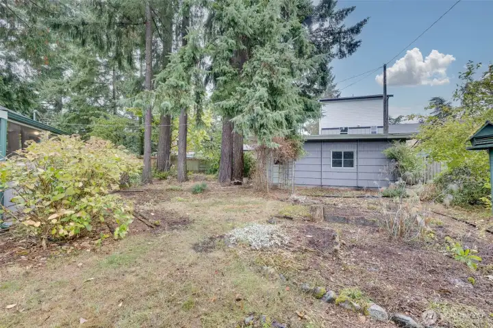 From South part of back yard looking towards detached garage-house on left.