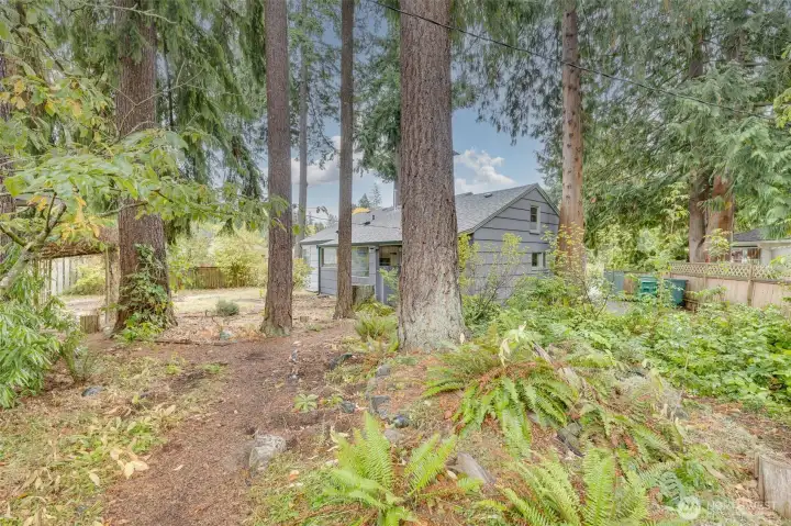 Natural vegetation in back