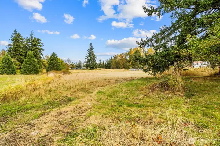 Open field with endless potential for gardens, recreation, or expansion.