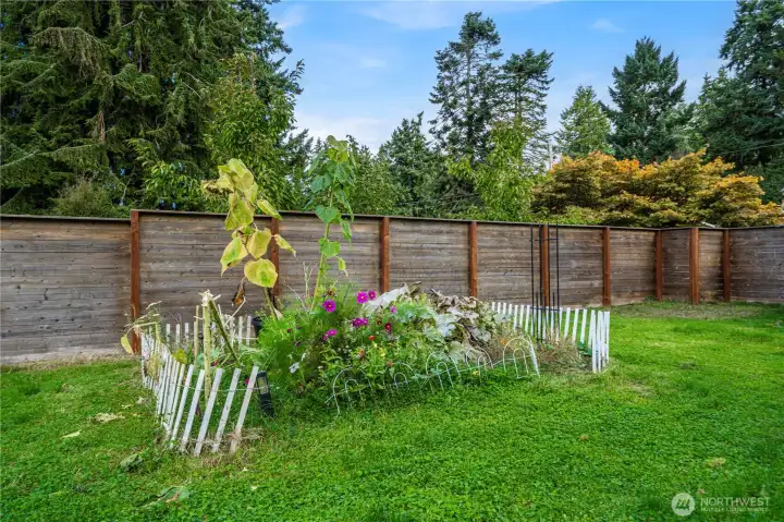 garden