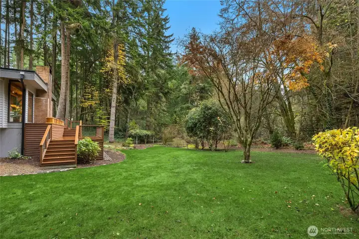 A level usable yard.