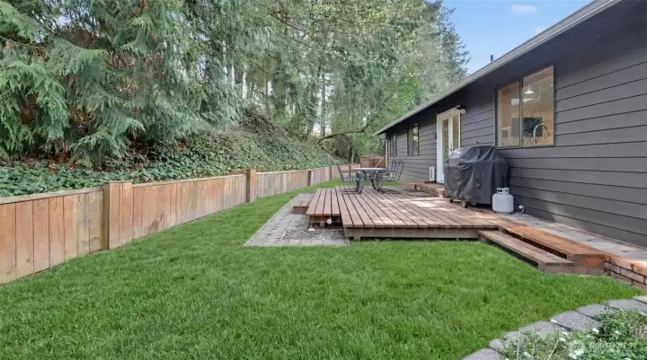 Green grass photoshopped in.