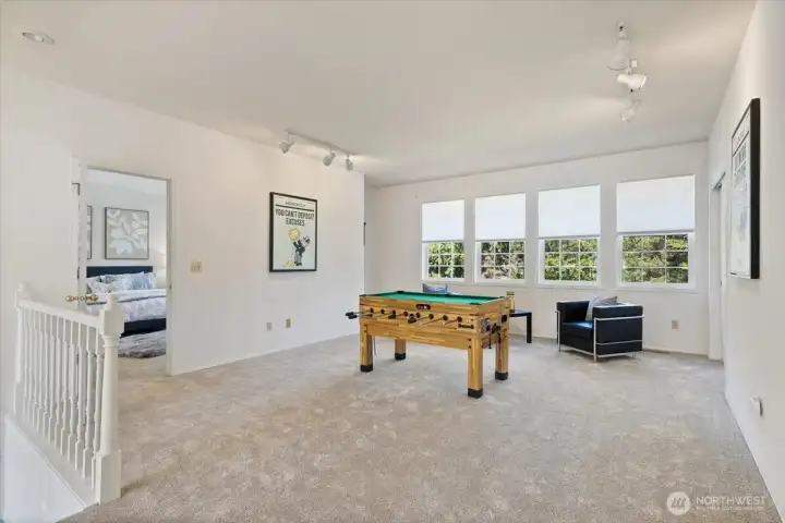 Top of Stairs Bonus/Family Room