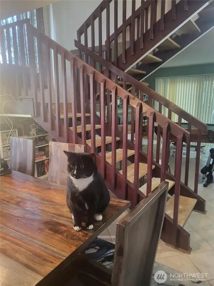 Stairwell to upstairs is open with space under for storage. Guard cat does not come with the house.