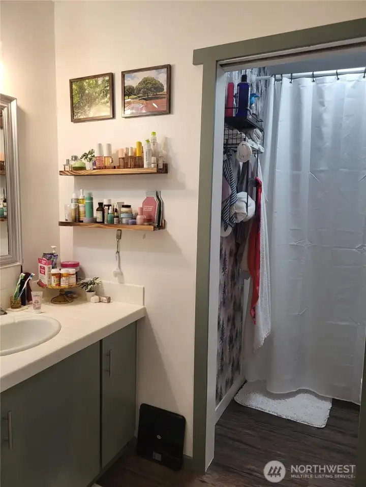 Main bathroom, used as master but not located in the master bedroom.