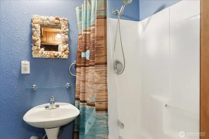 Downstairs full bathroom