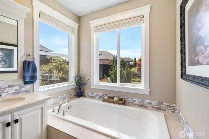 Owners suite bathroom garden tub