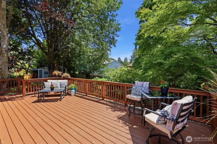 Entertainment sized deck